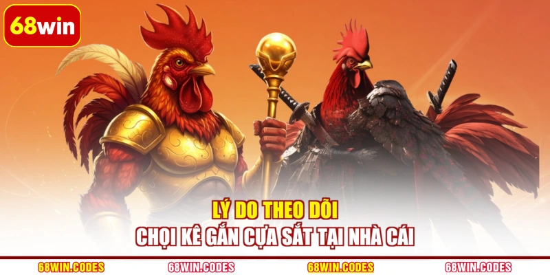 Lý do theo dõi chọi kê gắn cựa sắt tại nhà cái